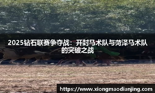 2025钻石联赛争夺战：开封马术队与菏泽马术队的突破之战