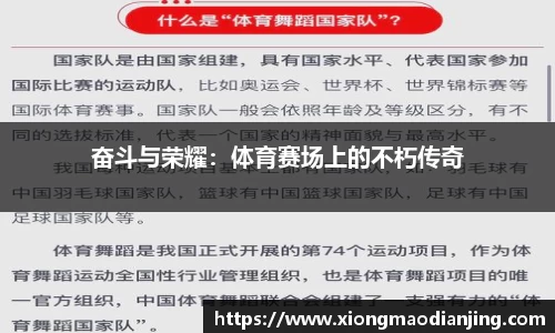 奋斗与荣耀：体育赛场上的不朽传奇